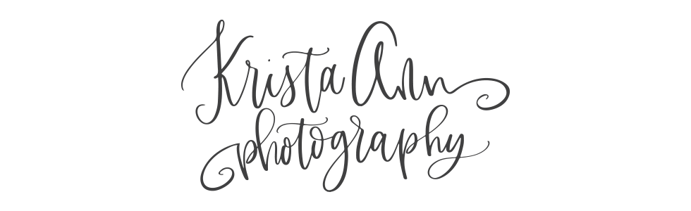 Plainfield IL Newborn Photographer | Krista Ann Photography logo
